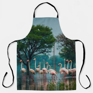 Greater flamingo flock in natural habitat. A natur Apron