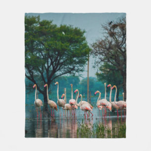 Greater flamingo flock in natural habitat. A natur Fleece Blanket