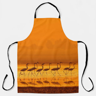 Greater Flamingo ( Phoenicopterus roseus walking) Apron