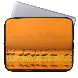 Greater Flamingo ( Phoenicopterus roseus) walking  Laptop Sleeve
