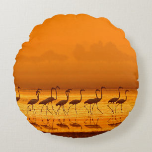 Greater Flamingo ( Phoenicopterus roseus) walking Round Cushion
