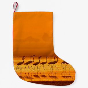 Greater Flamingo ( Phoenicopterus roseus) walking Small Christmas Stocking