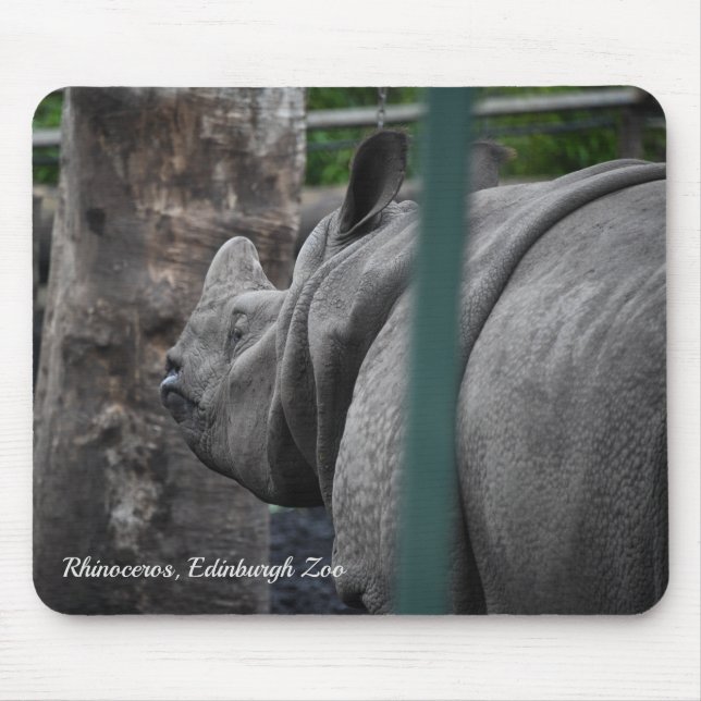 Greater One-Horned Rhinoceros at Edinburgh Zoo Mouse Pad (Front)