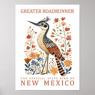 Greater Roadrunner Bird of New Mexico USA Poster
