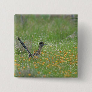 Greater Roadrunner, Geococcyx 15 Cm Square Badge