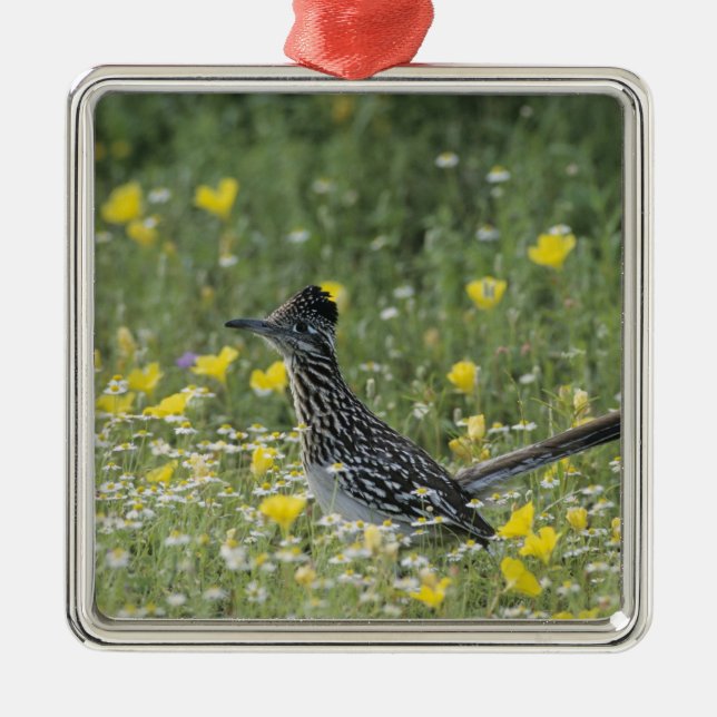 Greater Roadrunner, Geococcyx californianus, Metal Tree Decoration (Front)