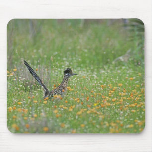 Greater Roadrunner, Geococcyx Mouse Pad