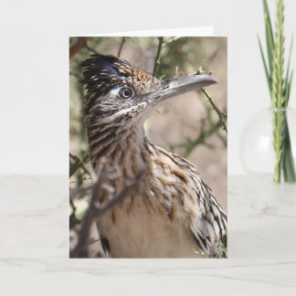 Greater Roadrunner Greeting Card