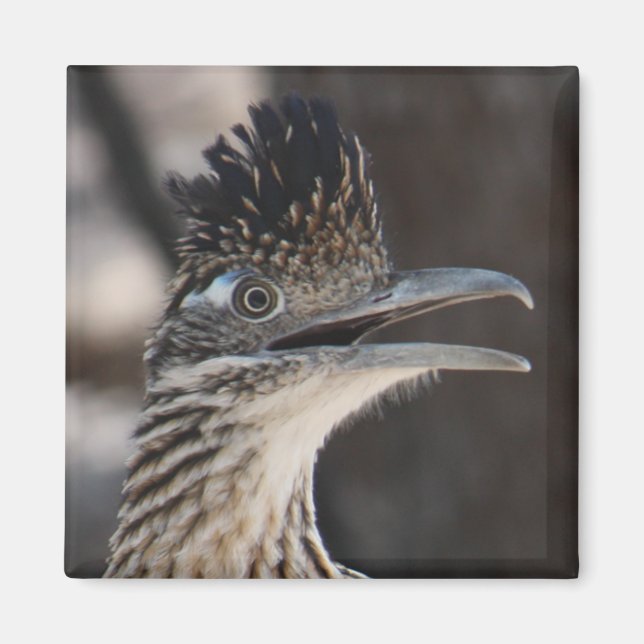 Greater Roadrunner Magnet (Front)