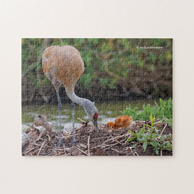Greater Sandhill Crane Father and Child Jigsaw Puzzle (Horizontal)