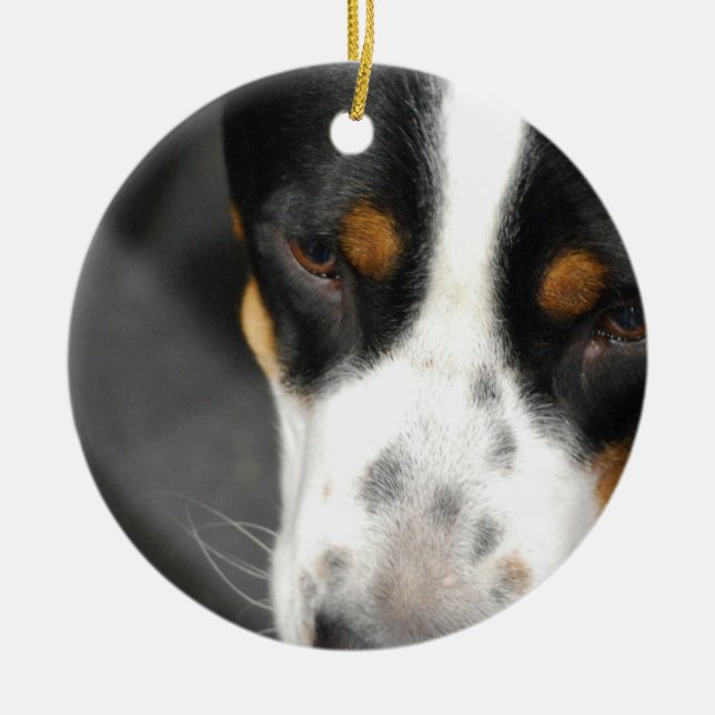greater-swiss-mountain-dog-1.jpg ceramic tree decoration (Front)
