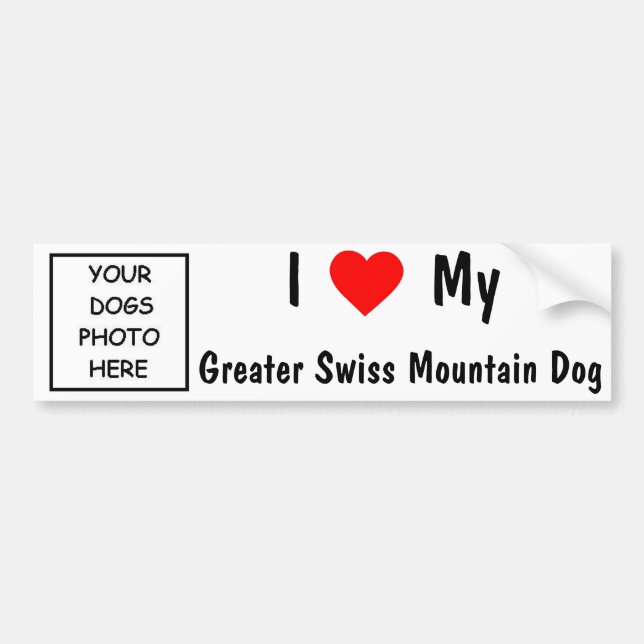 Greater Swiss Mountain Dog Bumper Sticker (Front)