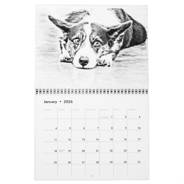 Greater Swiss Mountain Dog Calendar (Jan 2026)
