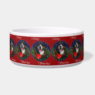 Greater Swiss Mountain Dog Christmas