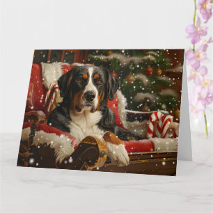 Greater Swiss Mountain Dog Christmas Festive Card