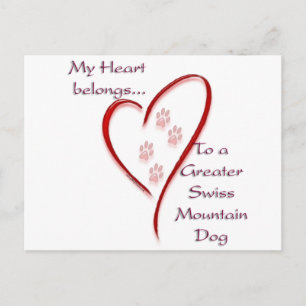 Greater Swiss Mountain Dog Heart Belongs Postcard