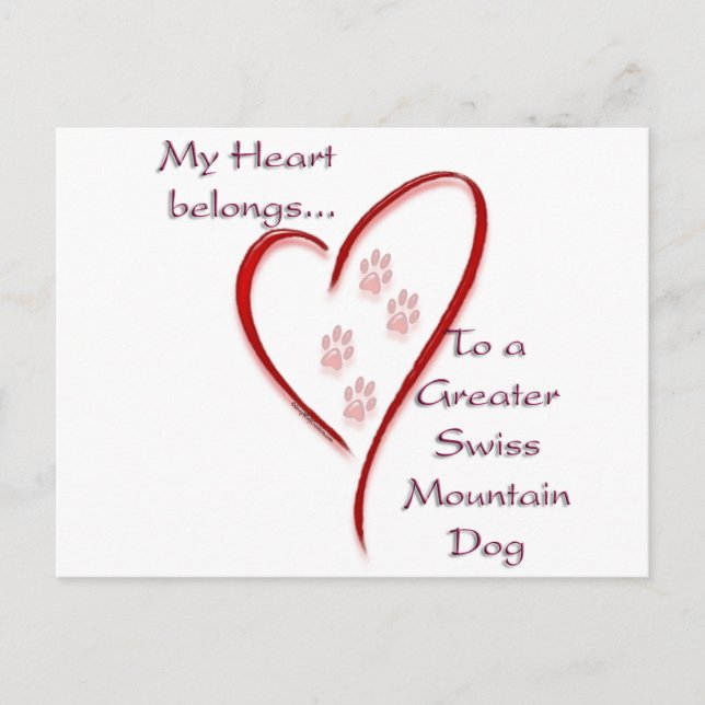 Greater Swiss Mountain Dog Heart Belongs Postcard (Front)