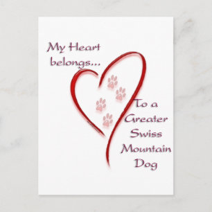 Greater Swiss Mountain Dog Heart Belongs Postcard