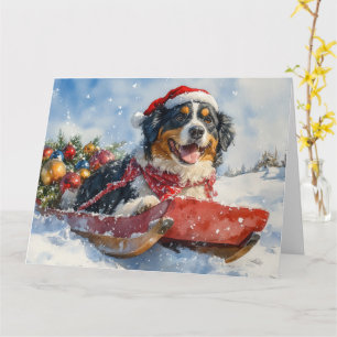 Greater Swiss Mountain Dog in Sledge Christmas Card
