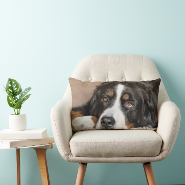 Greater Swiss Mountain Dog Lumbar Cushion (Chair)