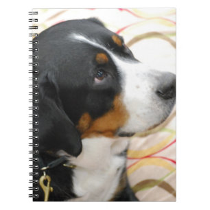 Greater Swiss Mountain Dog Notebook