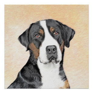 Greater Swiss Mountain Dog Painting - Original Art Poster