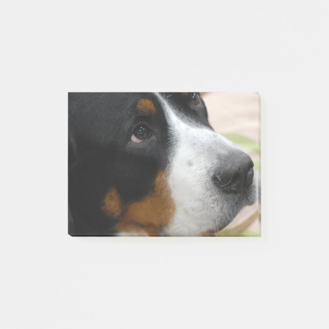 Greater Swiss Mountain Dog Post-it Notes (Front)