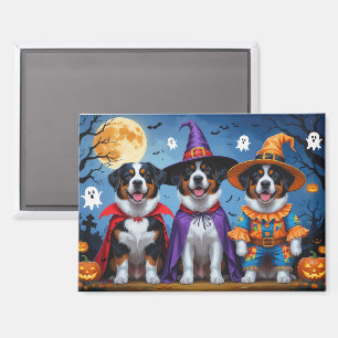 Greater Swiss Mountain Dog Pumpkin Halloween Funny Magnet