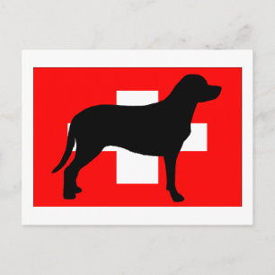 greater swiss mountain dog silo flag switzerland f postcard