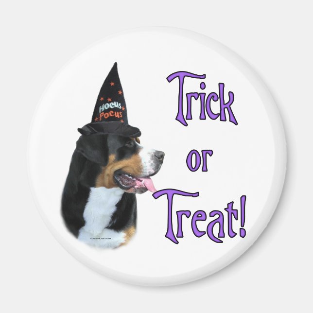 Greater Swiss Mountain Dog Trick Magnet (Front)