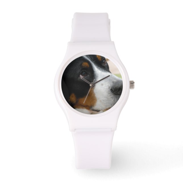Greater Swiss Mountain Dog Watch (Front)