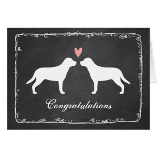 Greater Swiss Mountain Dogs Wedding Congrats