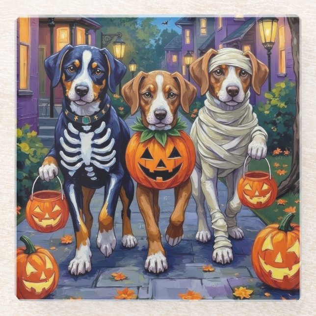 Greater Swiss Mountain Trick-or-Treating Halloween Glass Coaster (Front)