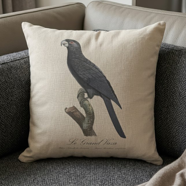 Greater Vasa Parrot, Coracopsis Vasa Illustration Cushion (Greater Vasa Parrot, Coracopsis Vasa Illustration. Throw Pillow)