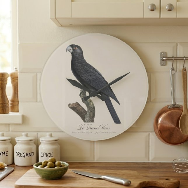 Greater Vasa Parrot, Coracopsis Vasa Illustration Large Clock (Greater Vasa Parrot, Coracopsis Vasa Illustration. Large Clock)