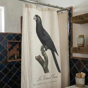 Greater Vasa Parrot, Coracopsis Vasa Illustration Shower Curtain
