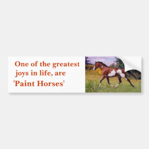 Greatest Joys Paint Horse trotting Bumper Sticker