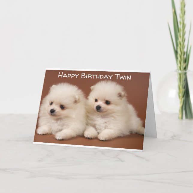 GREATEST THINGS COME IN *PAIRS* TWIN BIRTHDAY CARD (Front)
