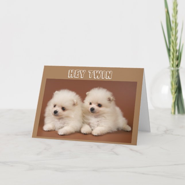 GREATEST THINGS COME IN *PAIRS* TWIN BIRTHDAY CARD (Front)