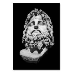 Greco Roman Marble Bust Classical Black and White Table Number