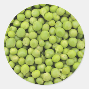 Greean peas / Pisum sativum Classic Round Sticker