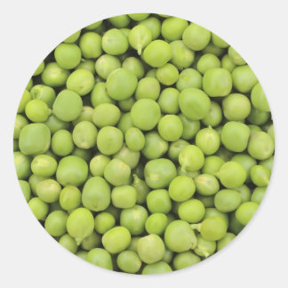 Greean peas / Pisum sativum Classic Round Sticker