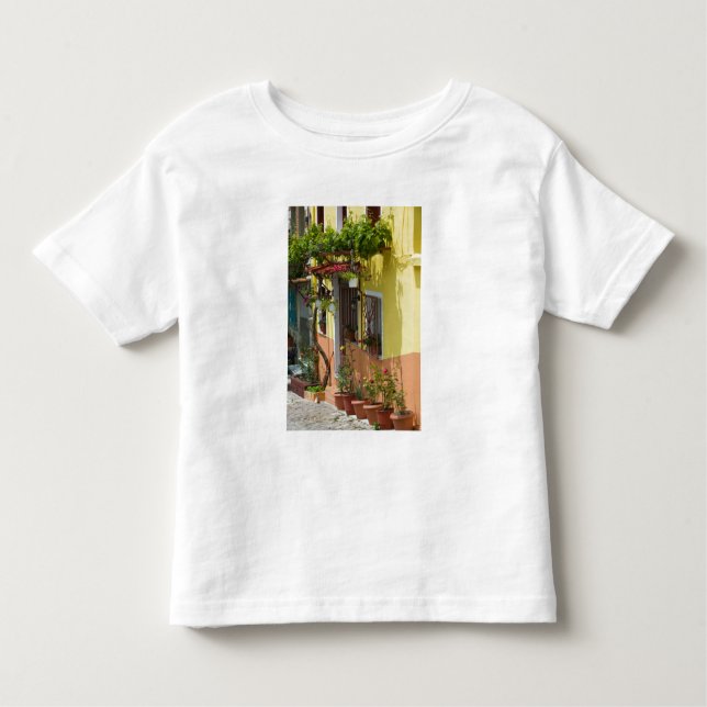 GREECE, Northeastern Aegean Islands, LESVOS Toddler T-Shirt (Front)