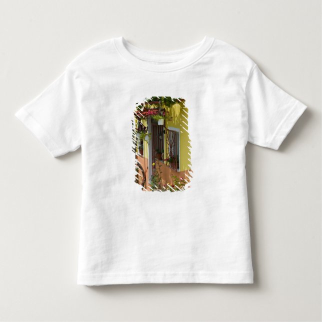 GREECE, Northeastern Aegean Islands, LESVOS Toddler T-Shirt (Front)