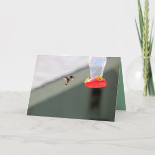 Greedy little  fellow card