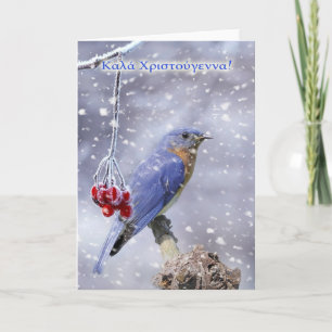 Greek - Blue Bird Christmas Greeting Card