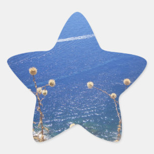 Greek Blue Sea Star Sticker