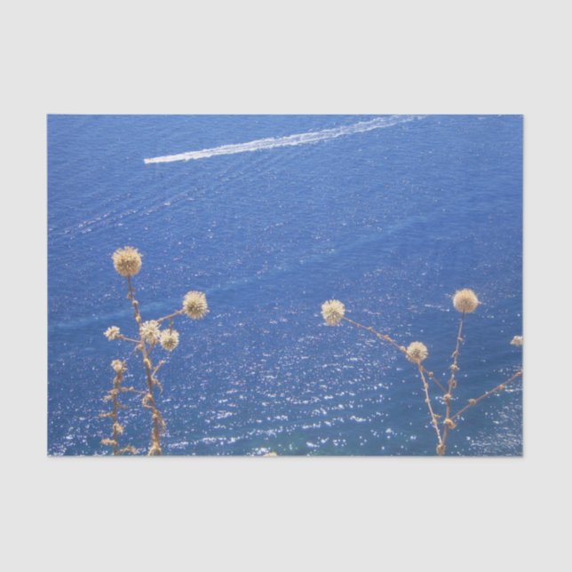 Greek Blue Sea  Tissue Paper (Front)