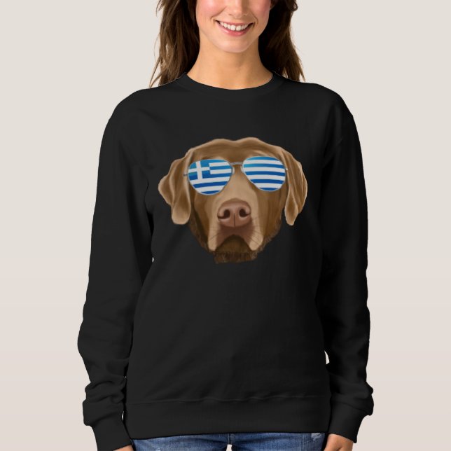 Greek Flag Chesapeake Bay Retriever Dog Greece Poc Sweatshirt (Front)