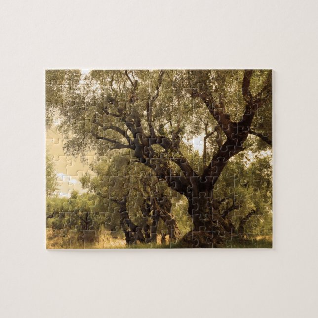 Greek Olive Grove Jigsaw Puzzle (Horizontal)